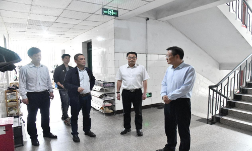 院领导开展清明节前校园安全专项督查