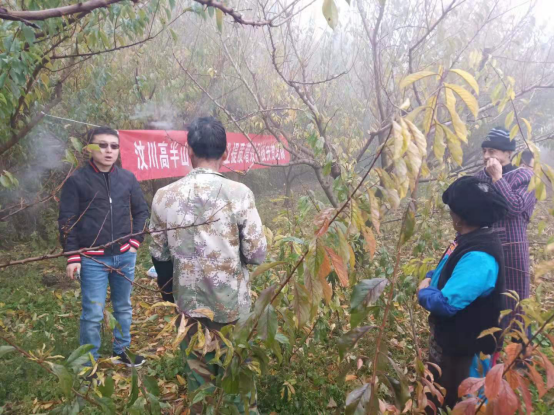 南充职业技术学院邀请省林科院专家赴俄布村<br/>开展脆李管护培训