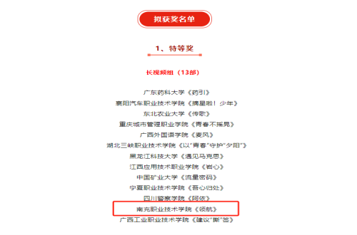 重大突破！南充职业技术学院选送作品获全国特等奖！